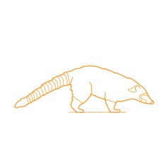 Animals Procyonids South American Coati Stencil Svg Vector, Free Vectors File